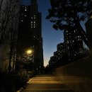 쵸이닷 트러플크림라비올리/디랩 베이직 명함 카드지갑/논현동 영동장어/선정릉 무료관람/잭슨피자...