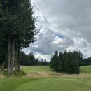(주)미송조경 | 워싱턴주) 골드 마운틴 골프 클럽 (Gold Mountain Golf Culb) _ 울창한 숲속 쾌적한 라운딩