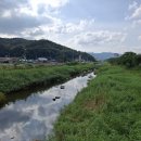 오수천2 이미지