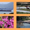 남해스포츠파크인조구장 이미지