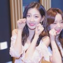 고란 이미지