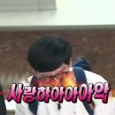 머리사랑하성