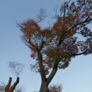 수일초등학교 이미지