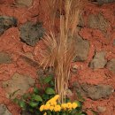 양금석가옥 이미지