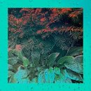 명인칼국수 - 고성군 동해로 1572 | 명인칼국수