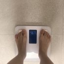 세명중기 | 임신 중기증상 24주차 후기 (+5kg 증가/배크기/임당검사 통과/붓기)