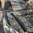 우박이네 | 남양주 가평 양평 우박덴트 자동차 우박 찌그러짐 복원수리업체