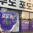 대부도포도빵