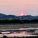 수당농장 이미지