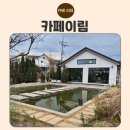 카페이림 | 강화도 근처 분위기 좋은 카페이림 내돈내산 후기｜고양이·인스타감성·데이트 모두 갖춘 핫플