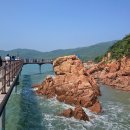 도랫마을식당 | 다리 개통으로 자동차 여행 가능한 인천 섬 무의도, 1박 하려다 2박 하고온 썰.text