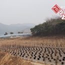 P-7726 이미지