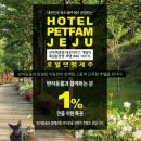 팻팸제주 | 반려동물과 함께하는 최초제주호텔분양 '구해줘홈스'방영