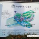 비슬리조트 이미지