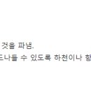 와이디에스 이미지