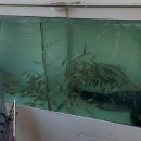 산업로 355번길 네이버블로그