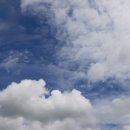농업회사법인(주)힘찬 네이버블로그