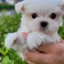 신우플러스원 이미지