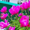 아름다운 아침 이미지