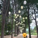 남문 | [가평 남이섬 맛집] 남이섬 안에서 즐기는 맛있는 한식집 “남문” 방문 후기