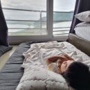 더비경 이미지