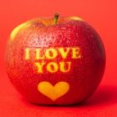 연산동 일동미라주 더스타 이미지