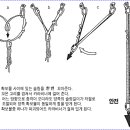 균등 확보물(Equalizing Protection) ... 이미지