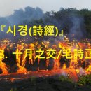 지교 이미지