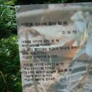 신황진이야 Daum카페