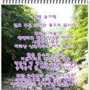 7월12일 숲기행 달궁마을~심원마을 계곡길 물따라 함께 가요! 이미지