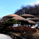 자작나무이야기 이미지