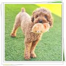 아이조아 요양보호소 서울점 이미지