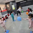 천하태권도(시흥) 이미지