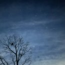 지리산 둥이네 이미지