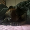 통제영1길 이미지