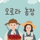 홍성농장 네이버블로그