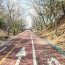 북한강자전거길 이미지