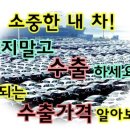 서광주셀프 이미지