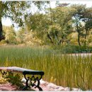 화랑포충전소 이미지