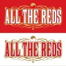 [배용준 아날도바시니]2010년 남아공 월드컵 올더레즈(all the reds) T셔츠를 입고 "축구를 입고 축구를 외치고 축구와 소통하자!" 이미지