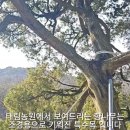 태림농원 이미지