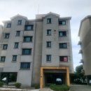 표선리-30 이미지