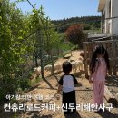 예쁜컨츄리 | 태안 당일코스 추천 컨츄리로드커피, 신두리해안사구 드라이브