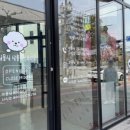 몽실몽실애견미용 이미지