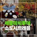 전통시장 멋내는거리 | 세종 가볼만한곳 미식여행 조치원 전통시장 사공공양조 투어