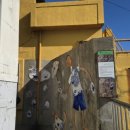 몽이와 키다리 이미지