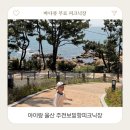 (주)연안산아가스 - 중구 | 주전보밑항피크닉장 울산 아이랑 해루질 무료 평상 테이블 예약방법