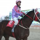 그랑프리 이미지