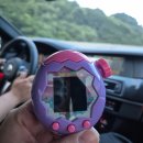 씨유(CU)청주율봉공원점 | 대창식당생선구이, 장사해수욕장, 동광어시장 17번노가네, 영덕대게찌는곳, 해파랑공원, 순희막걸리)