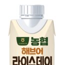 라이스데이 네이버블로그